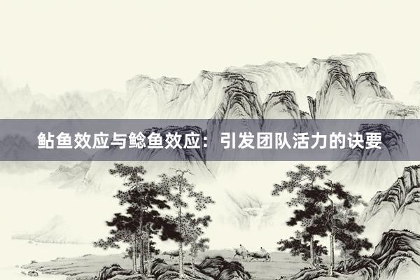 鲇鱼效应与鲶鱼效应：引发团队活力的诀要
