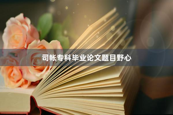 司帐专科毕业论文题目野心